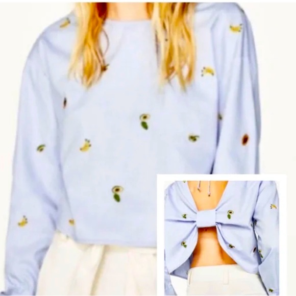 Zara Tops Zara Embroidered Fruit Chambray Top Poshmark